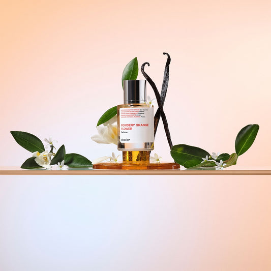 Powdery Orange Flower - featured