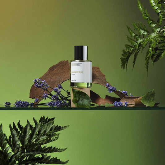 Fougere Oud - featured