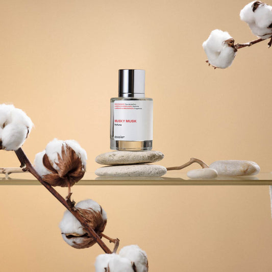 Musky Musk - featured