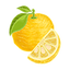 Yuzu