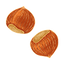 Chestnut