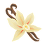 Vanilla Extract