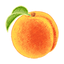 Apricot