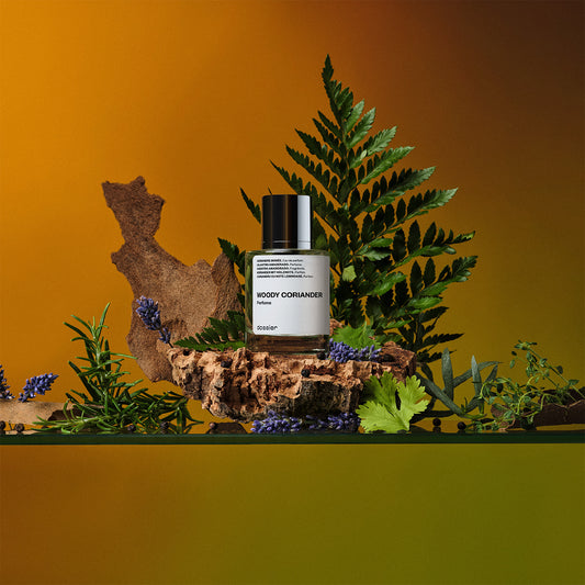 Woody Coriander - featured
